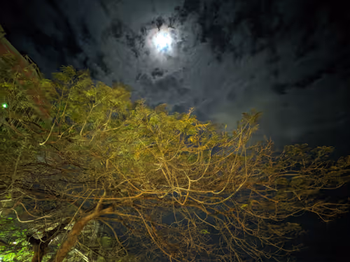 Item #30532647449704706474345759035685869546777711109536438008576936439132459106305 Media