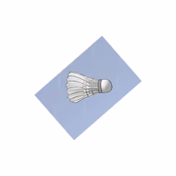 The spinning birdie