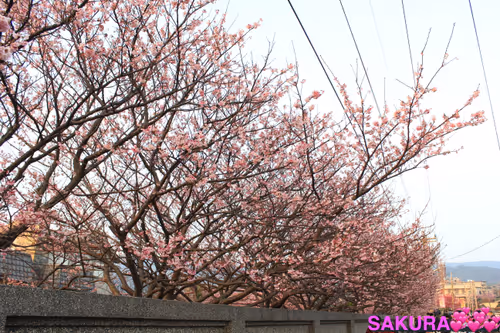 Item #88341892428238457671163359138931352612055705478125639874456303487423384387585 Media