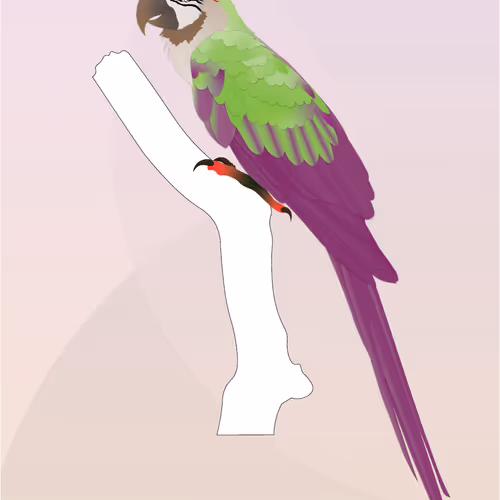 Vector Birds