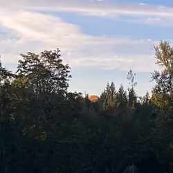 Balloon rising over the trees