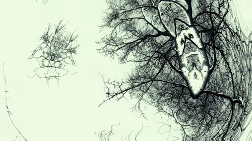 Item #24967146477419090921560663038626653354572651960968859782515528565895775387649 Media