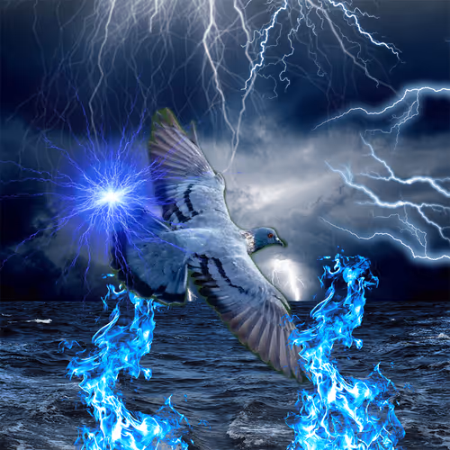 Item #8611177212973406975637787311467685402207376623163261380943492153247229018113 Media