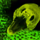 31587160183319478639401436855774728066616150086144401762837239515533639942145