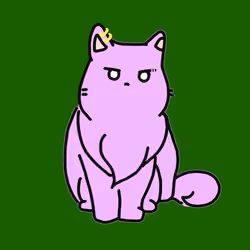Rich Cat
