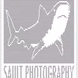 Sault Photography ascii art
