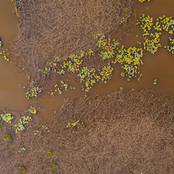 67686649945813211142348116383551297901422610875826896463266851530943301156865