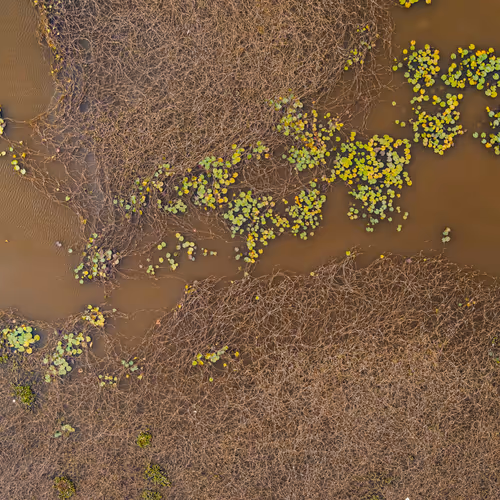 67686649945813211142348116383551297901422610875826896463266851530943301156865