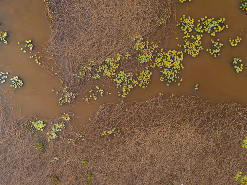 Item #67686649945813211142348116383551297901422610875826896463266851530943301156865 Media