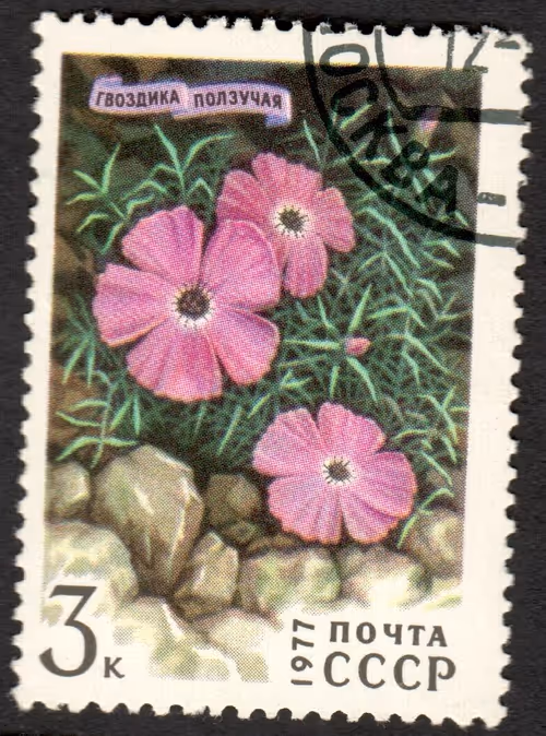 Item #17060974216596753871888821414108697977174749081814199979687152916835929686017 Media