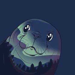 Northern Lights Seal #006