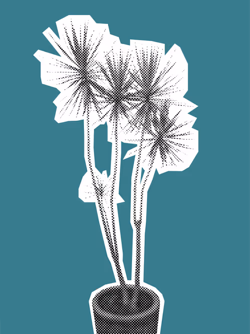 Item #25379124807980713745219244606437574046087384809022650852355167108222377000961 Media