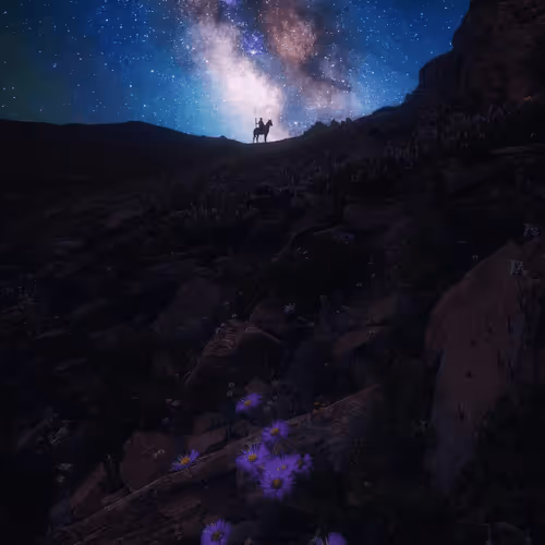 Omer Gul Photography Editions