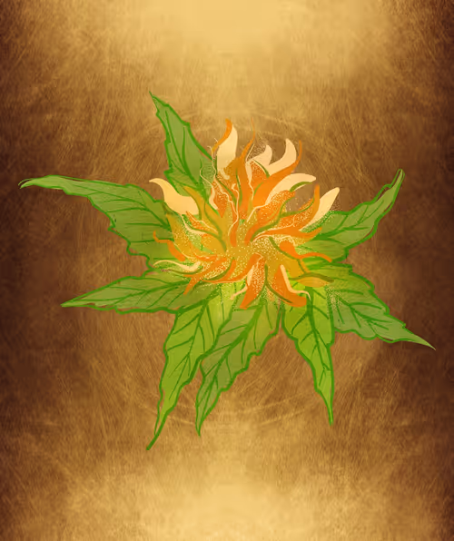 Item #88173920956366532206384104525204378846175092179682069740847406056243097239553 Media