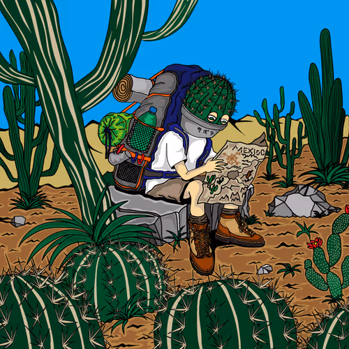 Item #3194520514658086949292462780913302724339470106400862654790922239848753397761 Media