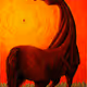 two dark horses