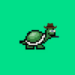 Turtle #939