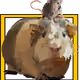 11956811942635422927171460162610099694714344402587762652016437318590228594689