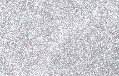 Item #56231055166534768819260761756004250554455450585187543117911899976012929171457 Media