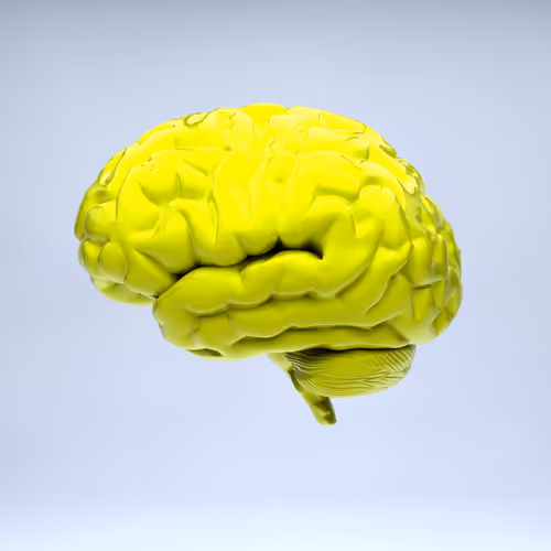 77412820926303725204956055566925211190020908428863033075197849057692817031169