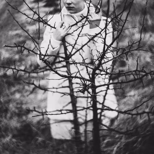 Item #113300456265572054290641269231913614430655375386256613734739386366575513698305 Media