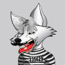 54481440793205298735061898990212315005578656052006715167163202099673596690433