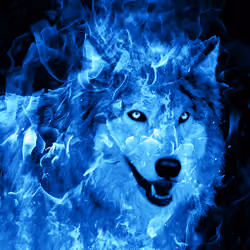 Icewolf
