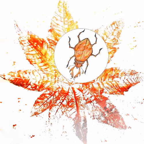 Item #83641782425350930645442208864969596215926153259876796825488648295399886422017 Media