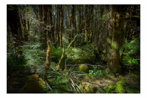 Item #113391420929209941219598099572508675076097289829558384042967582022965789720577 Media