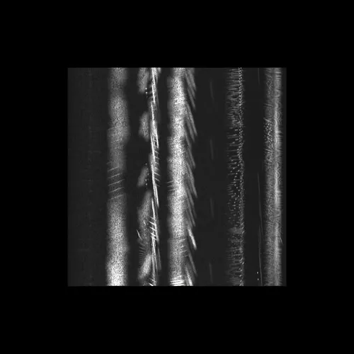 Item #43939955971694368961434358164711021081057237677410347264159755630481661493249 Media