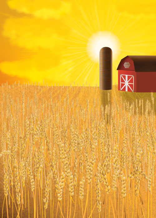 Item #16856792038433310560442353969730674754691862844441676398277363846453540159489 Media