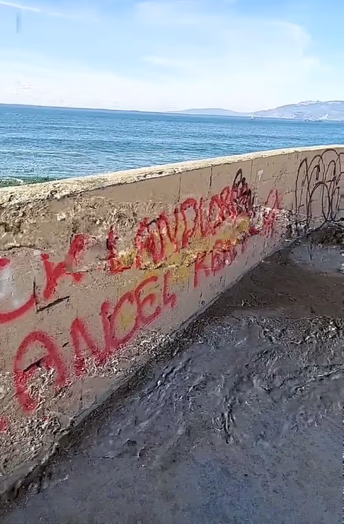 Item #49227524727896315749905441986502256550148891149834930157635208044033876164609 Media