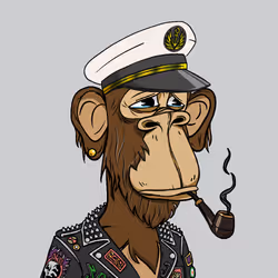 61711868753073721077003651849237961867593371442335358021915179365677771259905