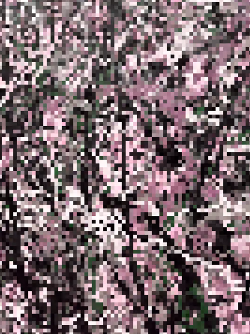 Item #115499033147797908633024288095086094574278705771411225258940244245372444082196 Media