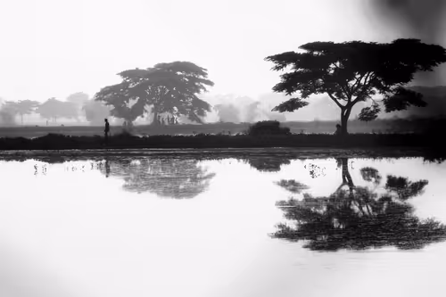 Item #97230826546483525786642043463172718253247497572551012304181144306530551595018 Media