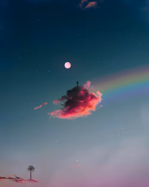 Item #7658208183109611486320265892202744230119975973631505372203406113712470228993 Media