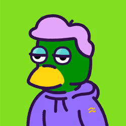 Duck #31