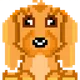 81402693928541771524019639410672264727565793597225102267681171623256252219393