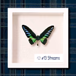 #13 Streams