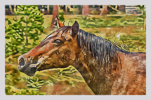 Item #55704534837685659622621715309832868758345944585427688586690141427858482921473 Media