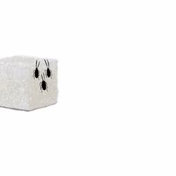 Cube Sugar ep.1