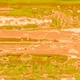 51085132585311678213666365158369168685884962440625854427983409390795500814337
