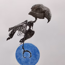 bluemarcaw