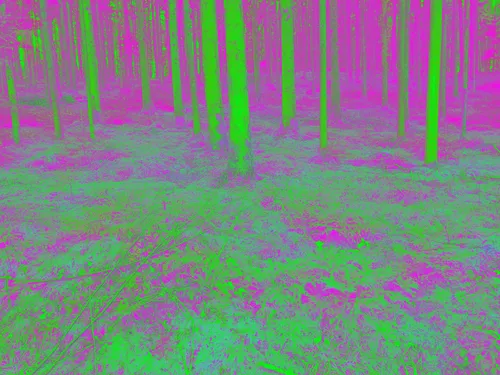 Item #81311623154221304056404739507170303613428233805736578014873159300484064870401 Media