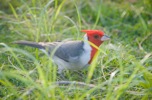 Item #92971587401879212914465603849674525645265351012255145539777938628994442199046 Media