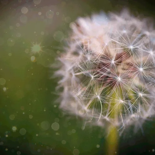 Still Life Photography Brought To Life