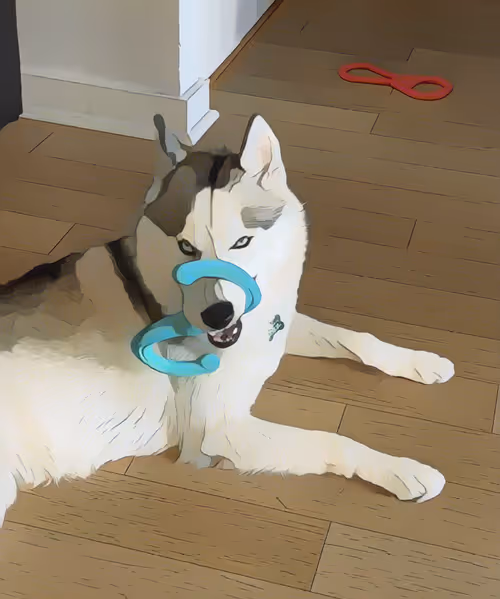 Item #13754153459457669646824544607414495274840450408560395979745817049489693736961 Media