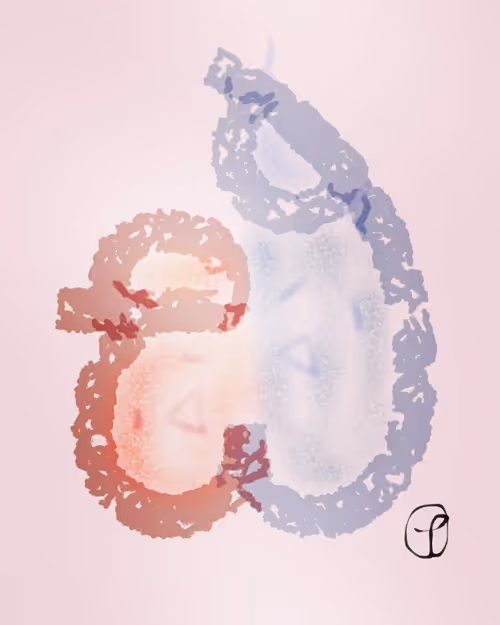 Item #96133630130899888511680759709798733655180352092271570668730776133312423395329 Media