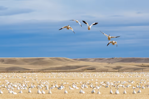 Community Is Everything