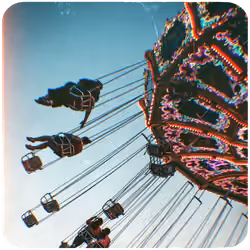 The Fair